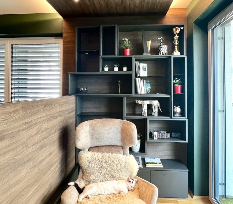 Leseecke mit Wandregal und Katze